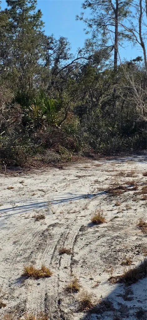 5700 Lake Erie Road Groveland FL 34736