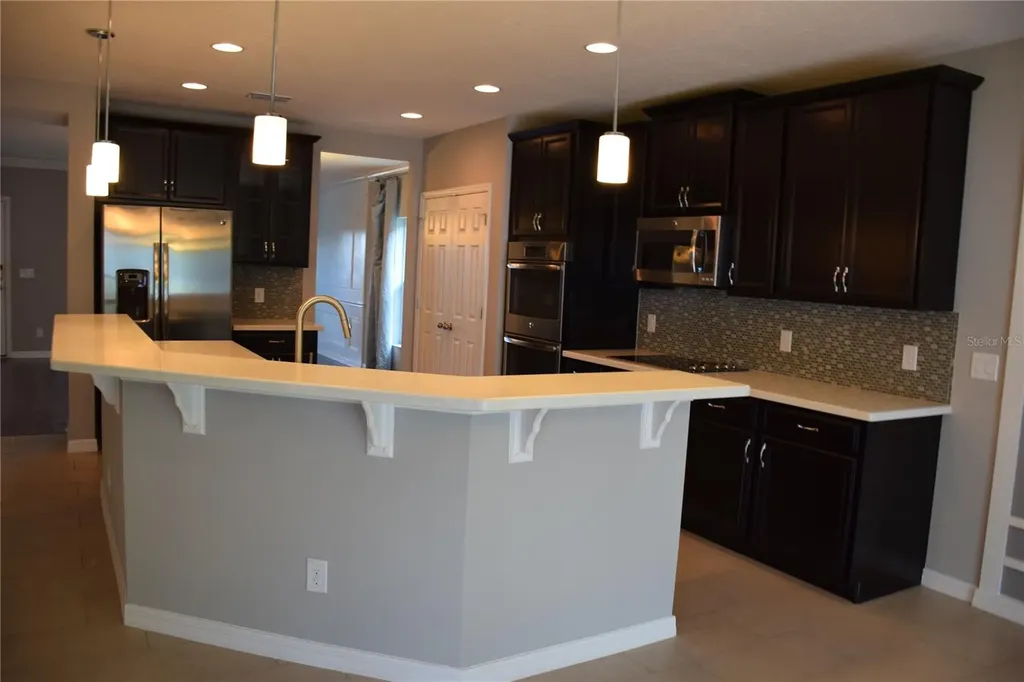 489 Ogelthorpe Drive Davenport FL 33897