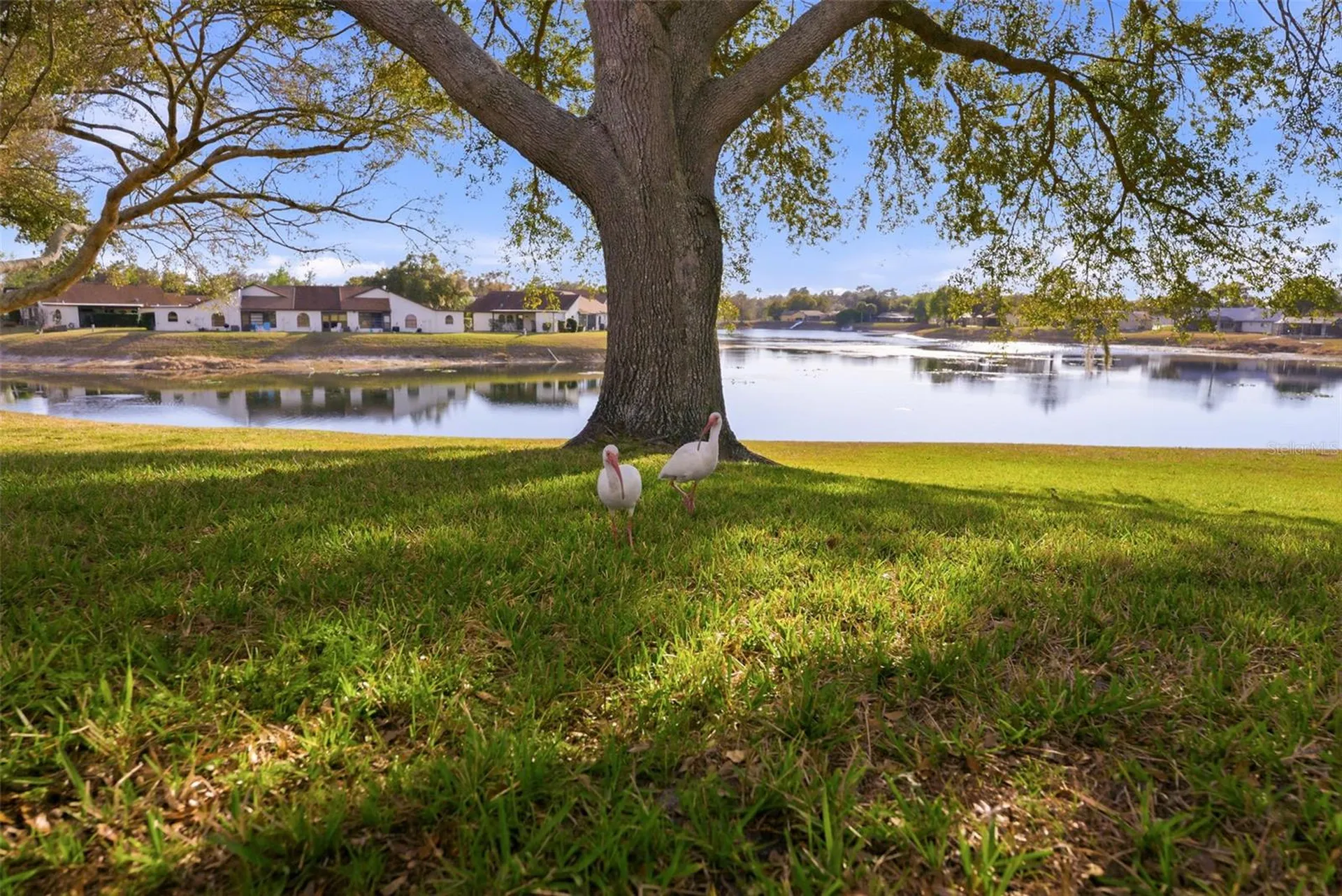 7406 Heather Walk Drive Weeki Wachee FL 34613
