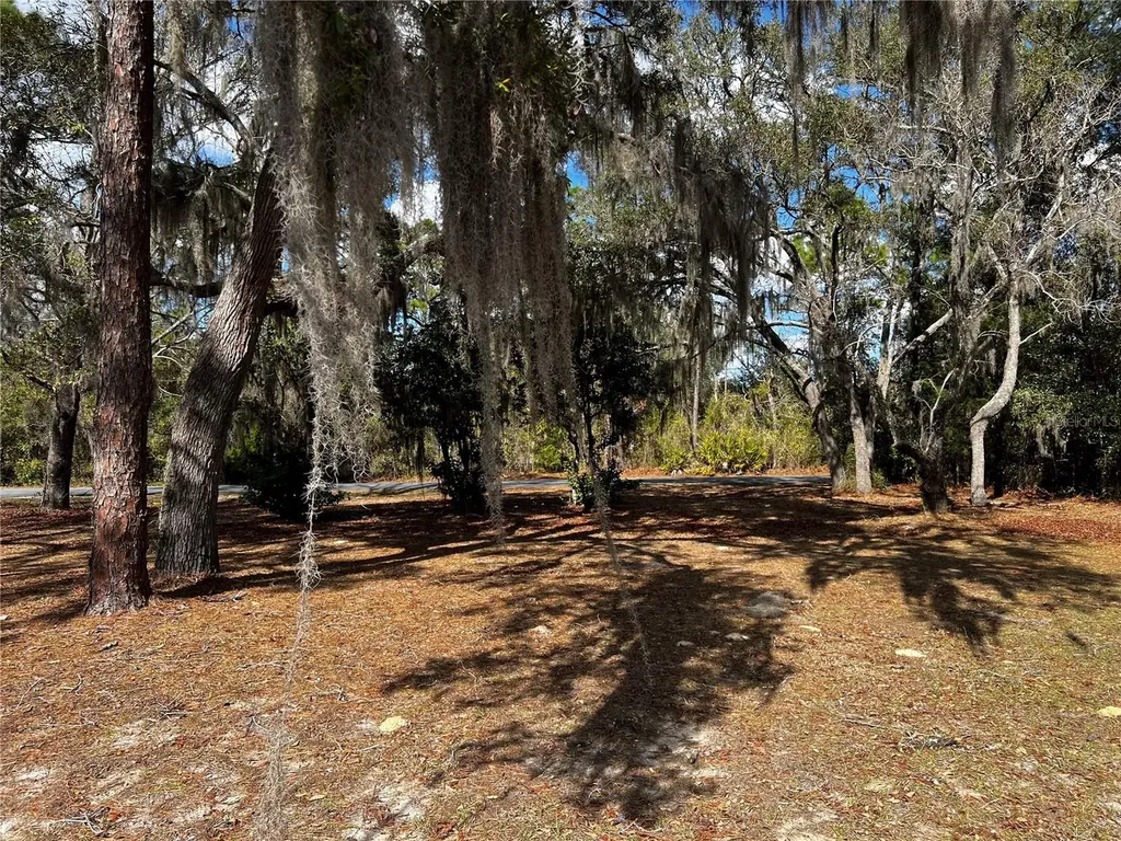 6146 W Heritage Drive Homosassa FL 34448