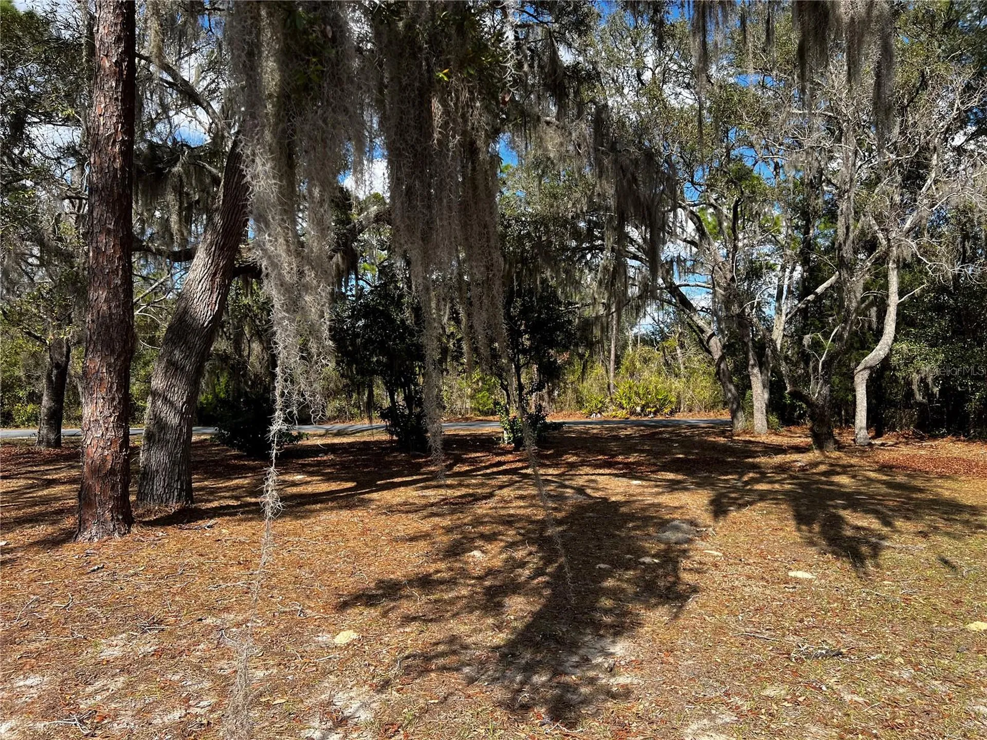 6146 W Heritage Drive Homosassa FL 34448