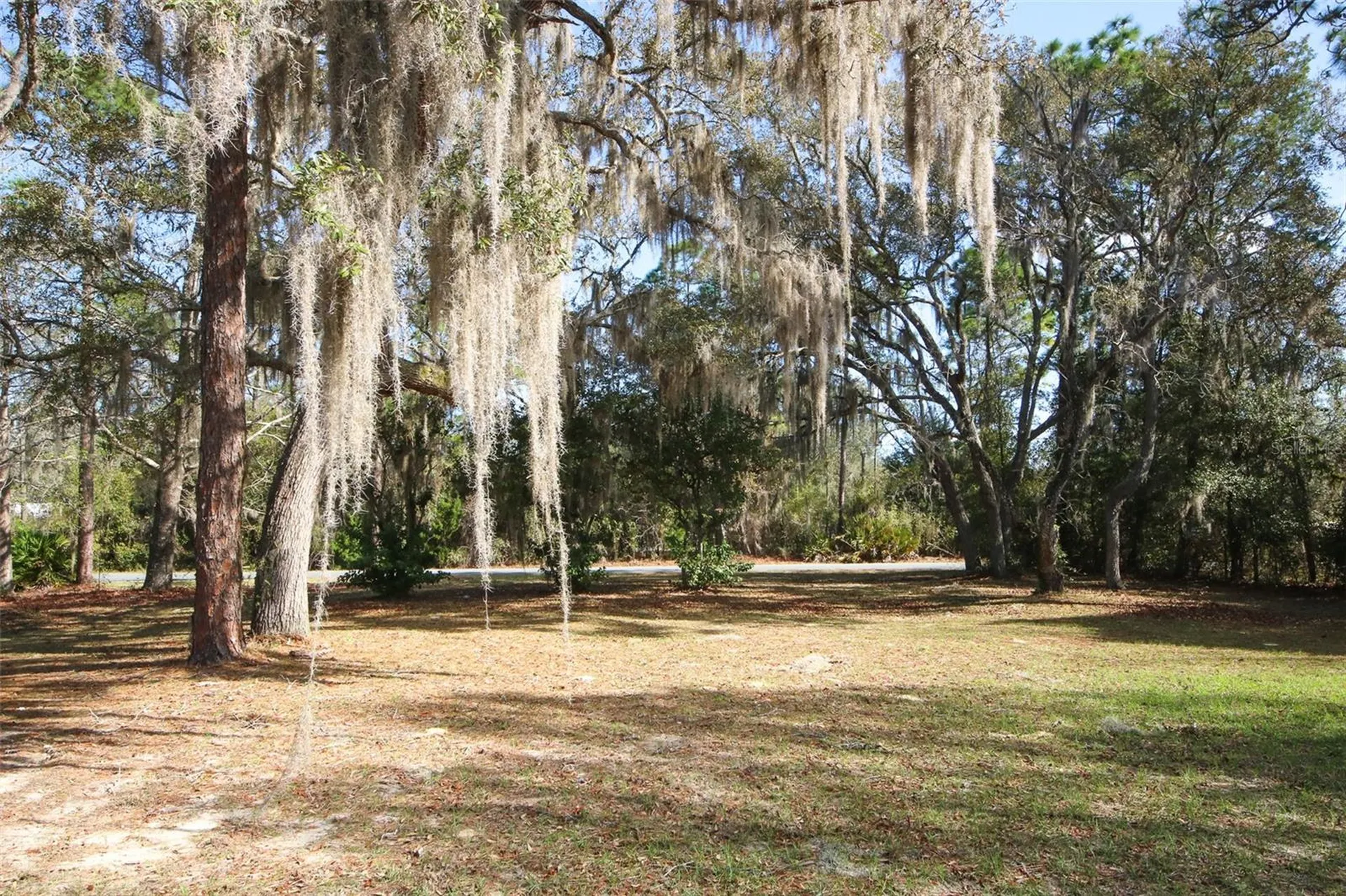 6146 W Heritage Drive Homosassa FL 34448