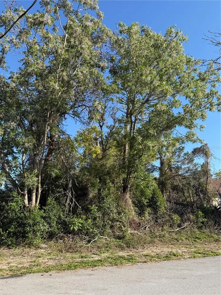 11230 Montcalm Road Spring Hill FL 34608
