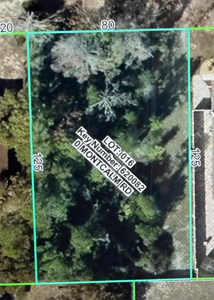 11230 Montcalm Road Spring Hill FL 34608