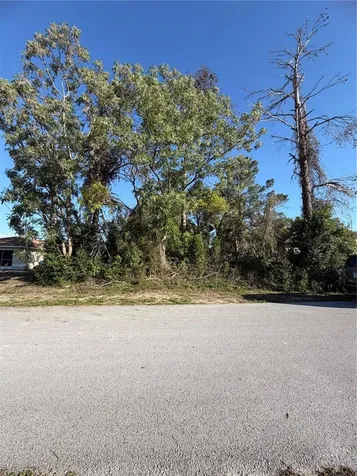 11230 Montcalm Road Spring Hill FL 34608