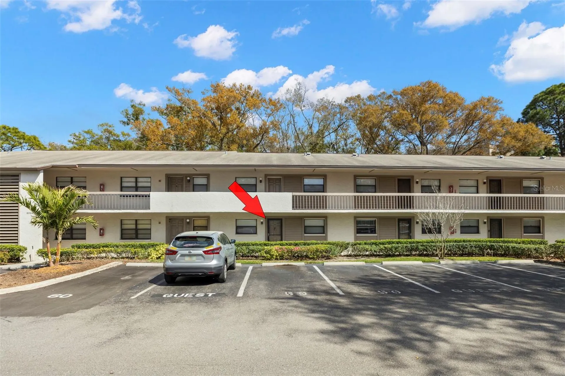 3034 Eastland Boulevard Clearwater FL 33761