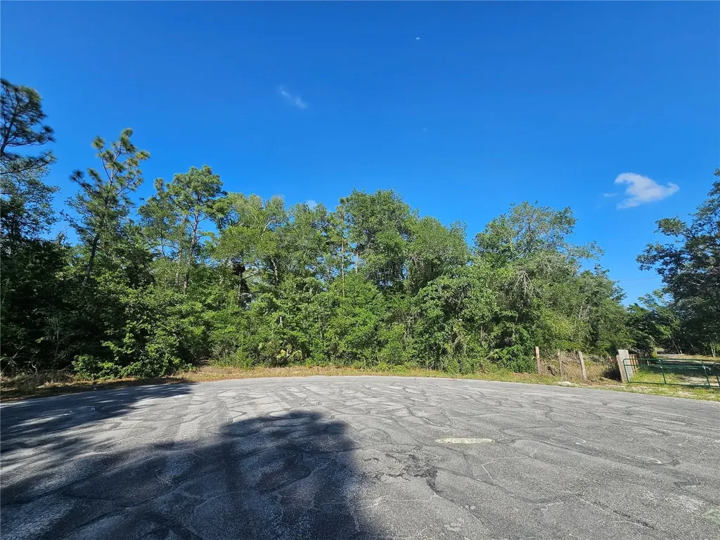 13431 Flagstaff Drive Brooksville FL 34614