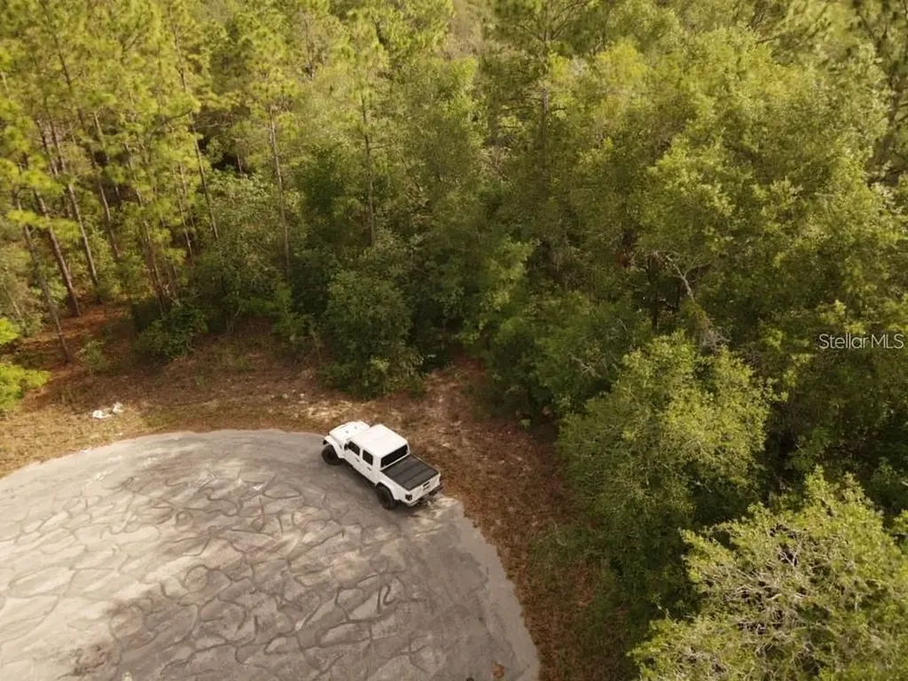 13431 Flagstaff Drive Brooksville FL 34614