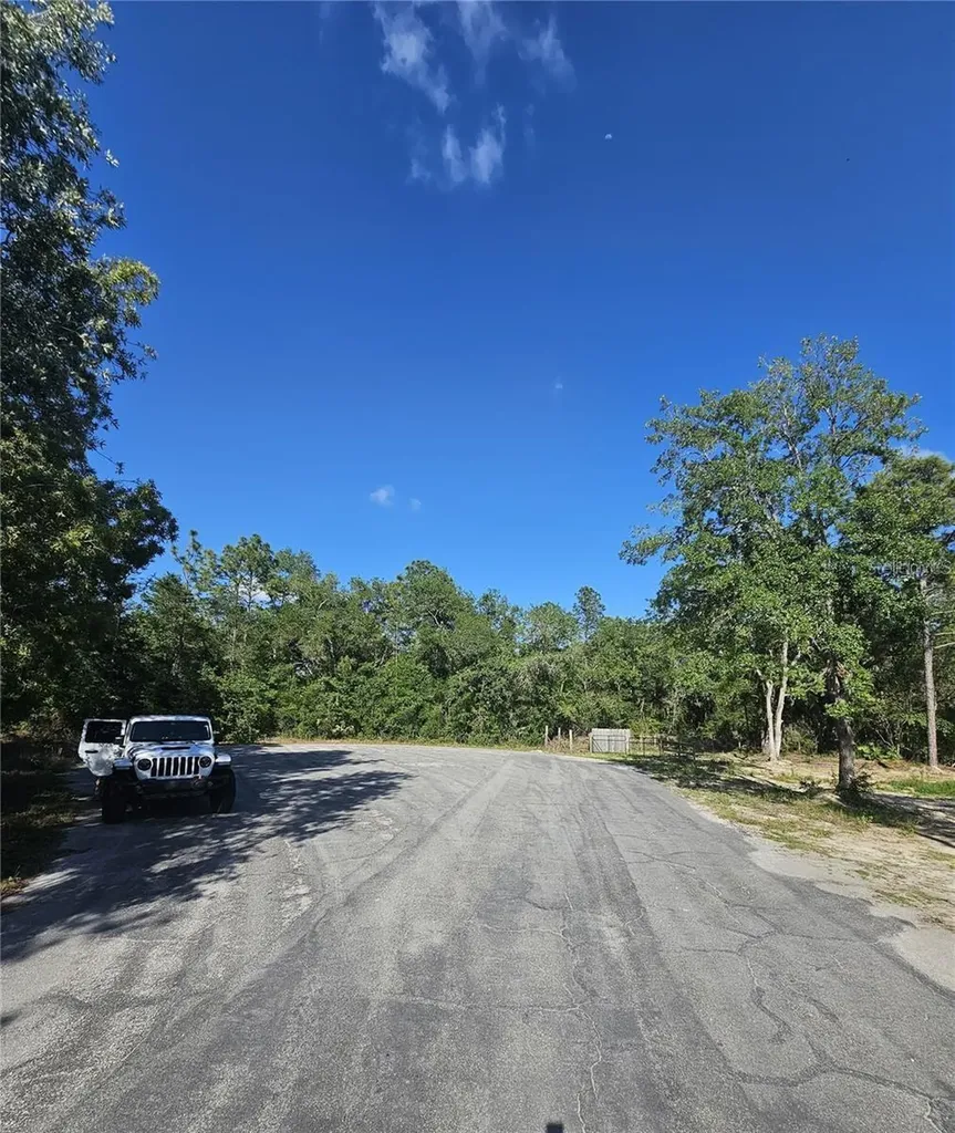 13431 Flagstaff Drive Brooksville FL 34614