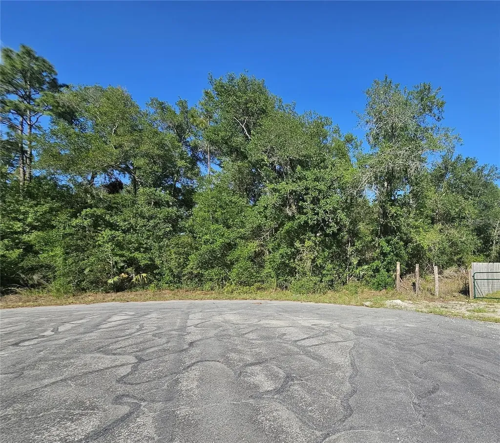 13431 Flagstaff Drive Brooksville FL 34614