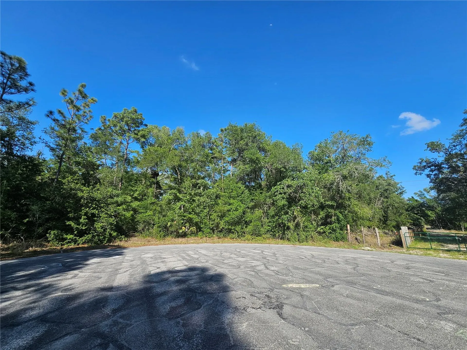 13431 Flagstaff Drive Brooksville FL 34614
