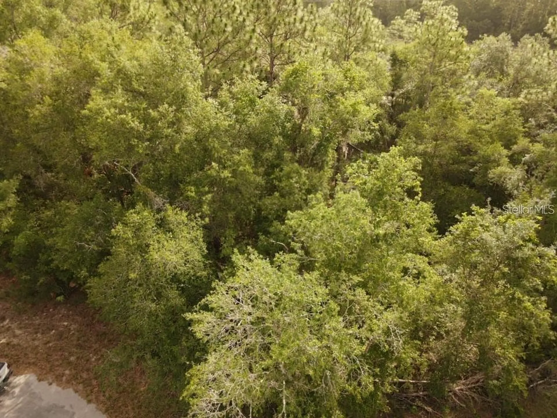 13431 Flagstaff Drive Brooksville FL 34614