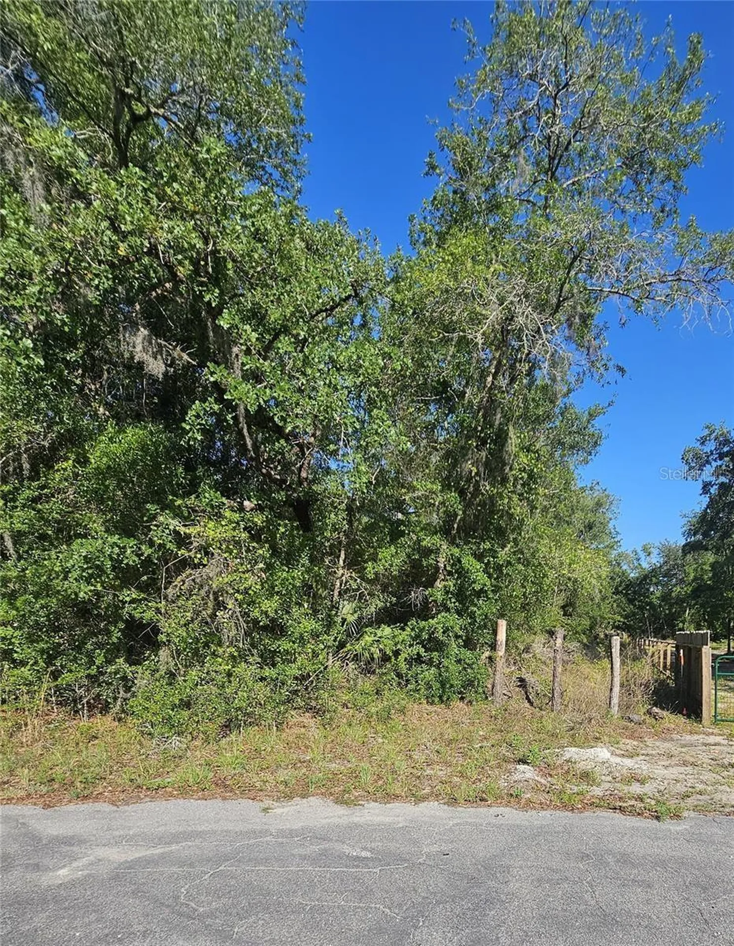 13431 Flagstaff Drive Brooksville FL 34614