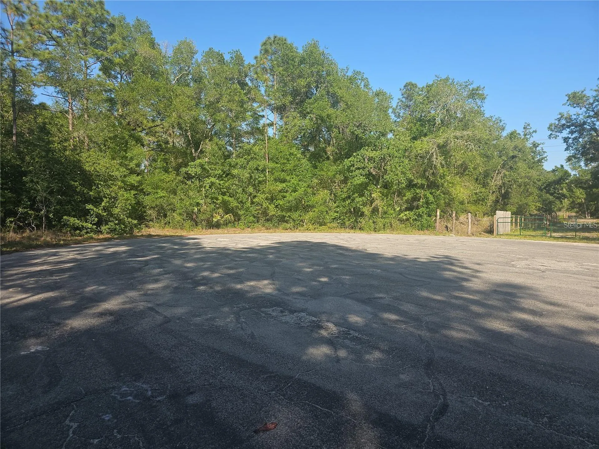 13431 Flagstaff Drive Brooksville FL 34614