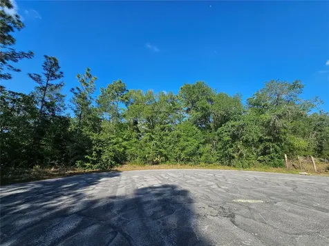 13431 Flagstaff Drive Brooksville FL 34614