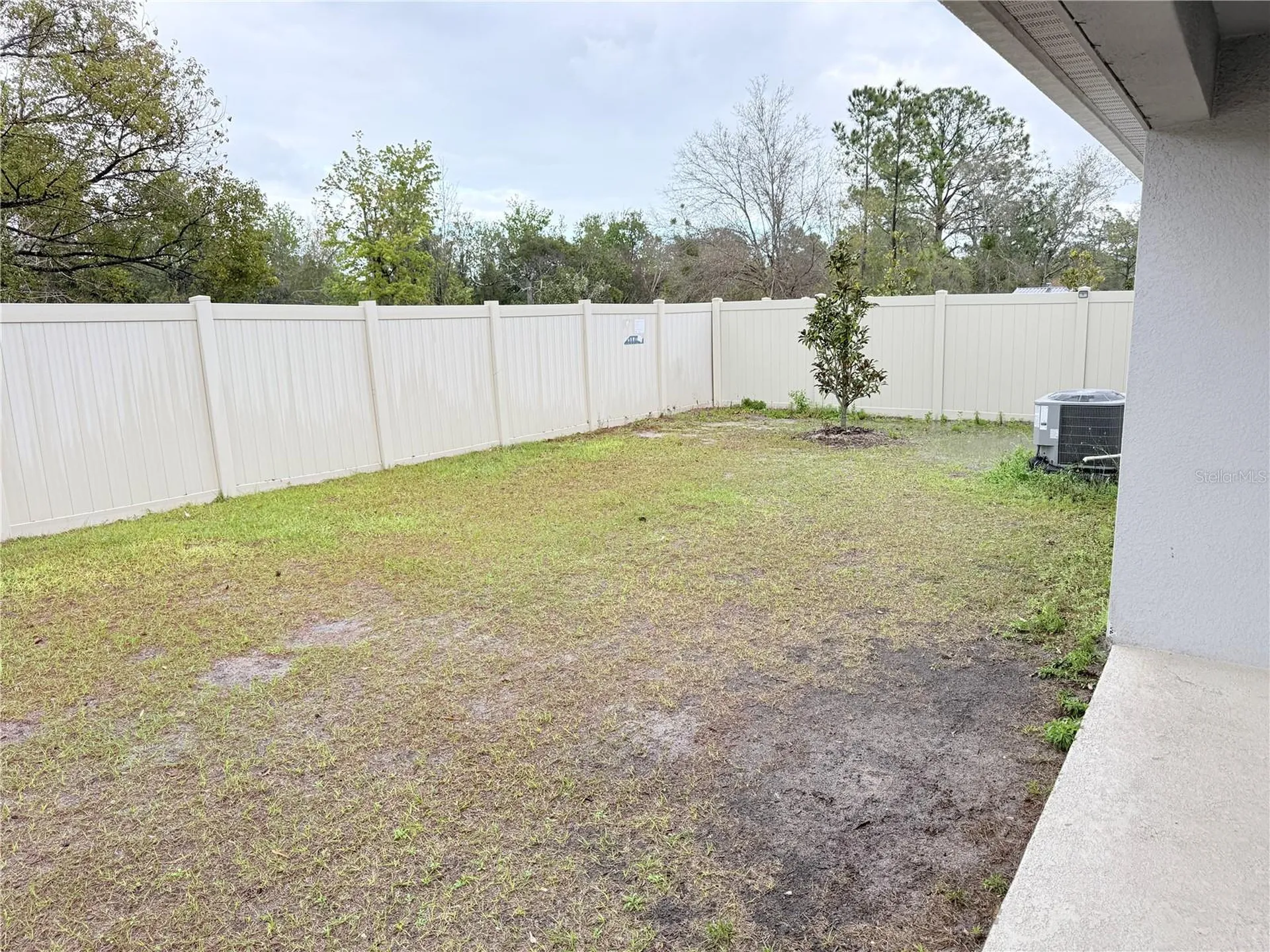 13049 Thatch Palm Way Orlando FL 32828