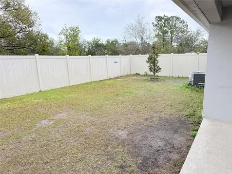 13049 Thatch Palm Way Orlando FL 32828