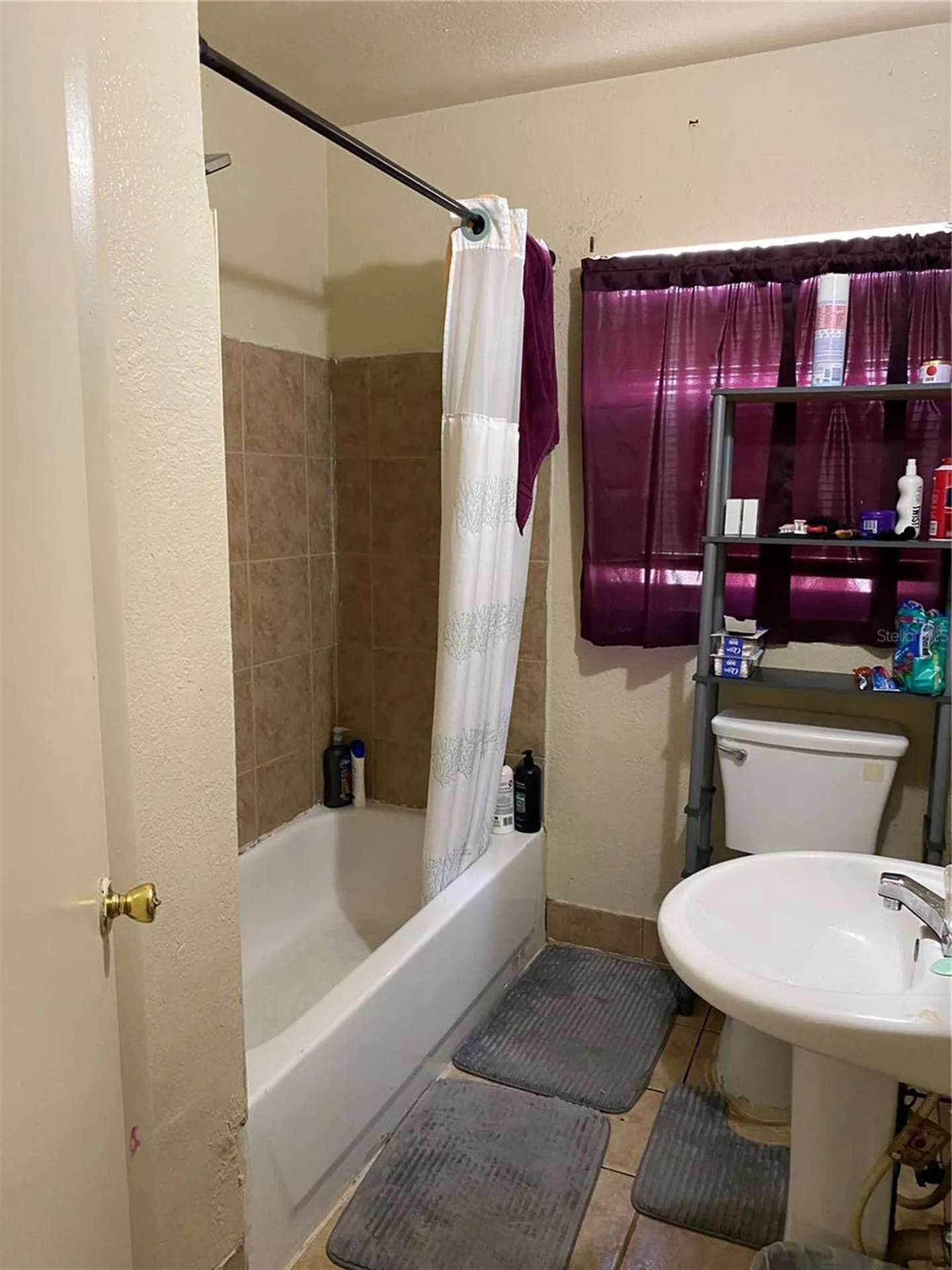 3016 Madelia Lane Kissimmee FL 34744