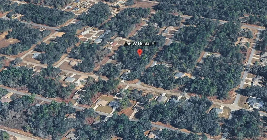255 W Ruska Place Citrus Springs FL 34434