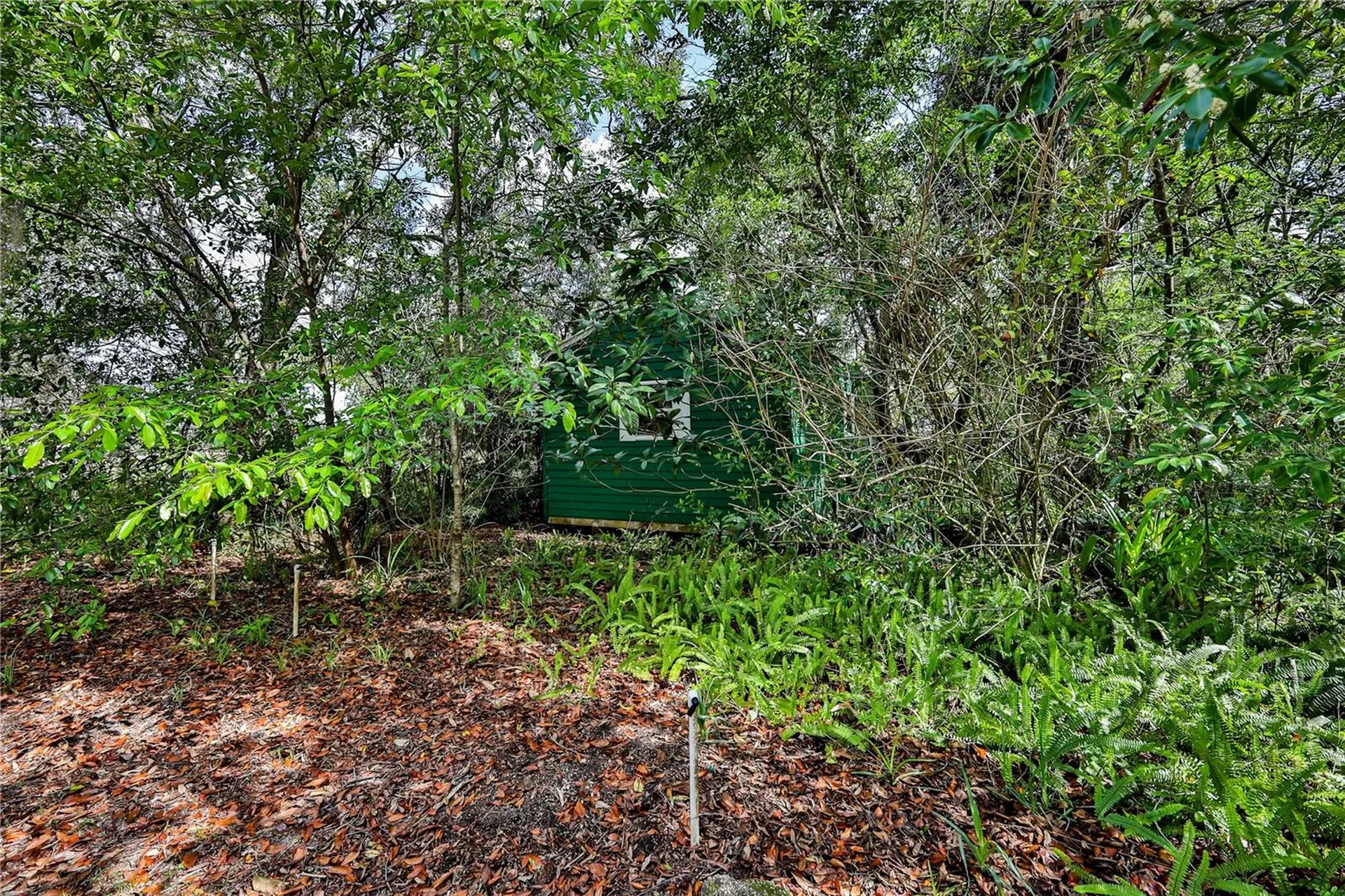 8178 Pinehurst Drive Spring Hill FL 34606