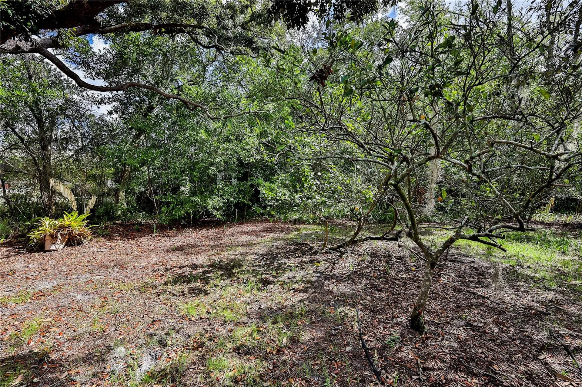 8178 Pinehurst Drive Spring Hill FL 34606
