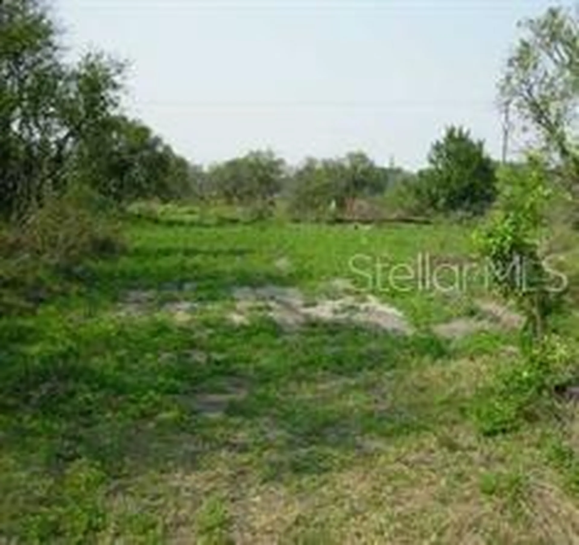 5224 Clarence Gordon Junior Road Plant City FL 33567