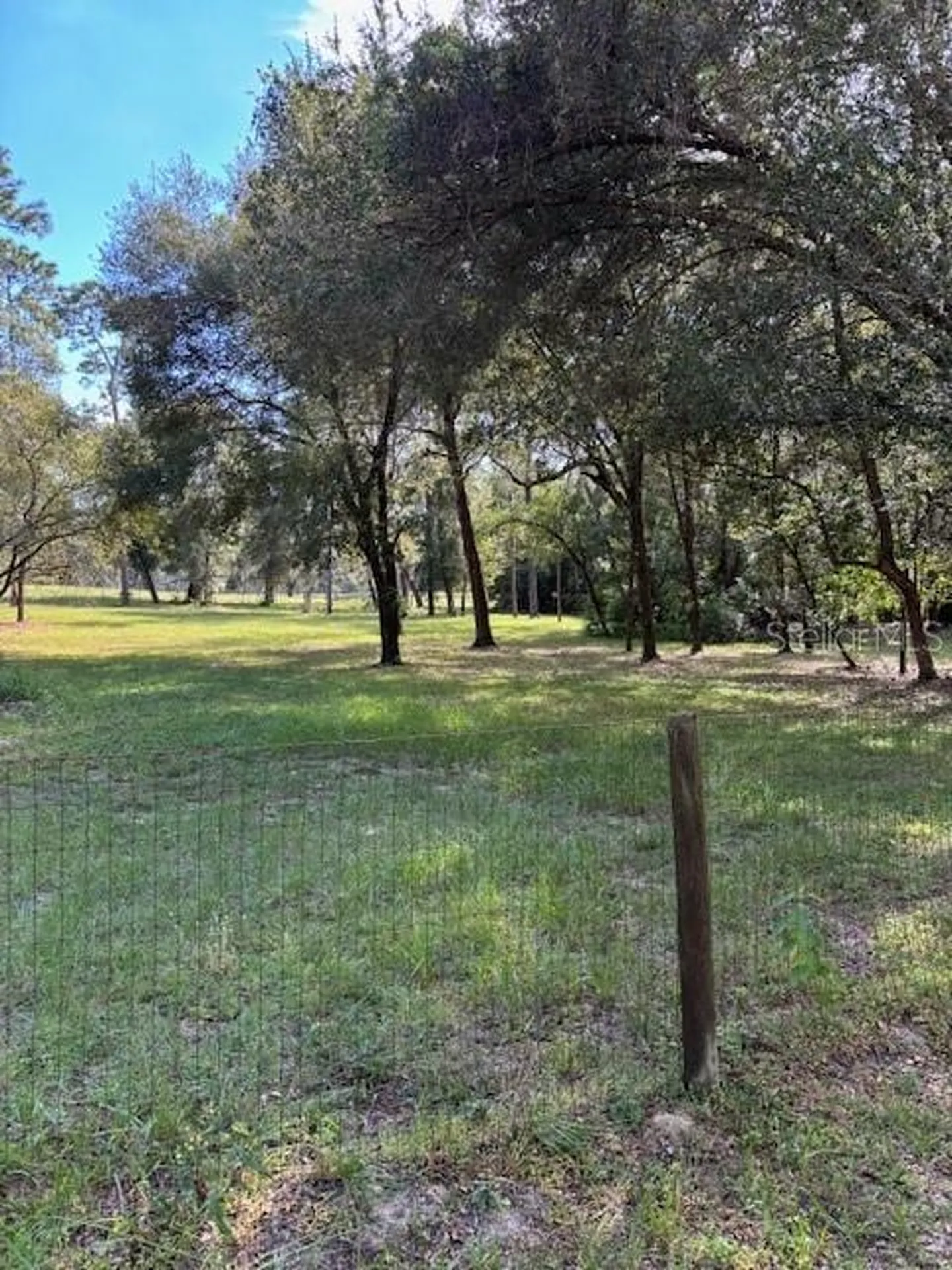 23404 Hobdy Road Sorrento FL 32776