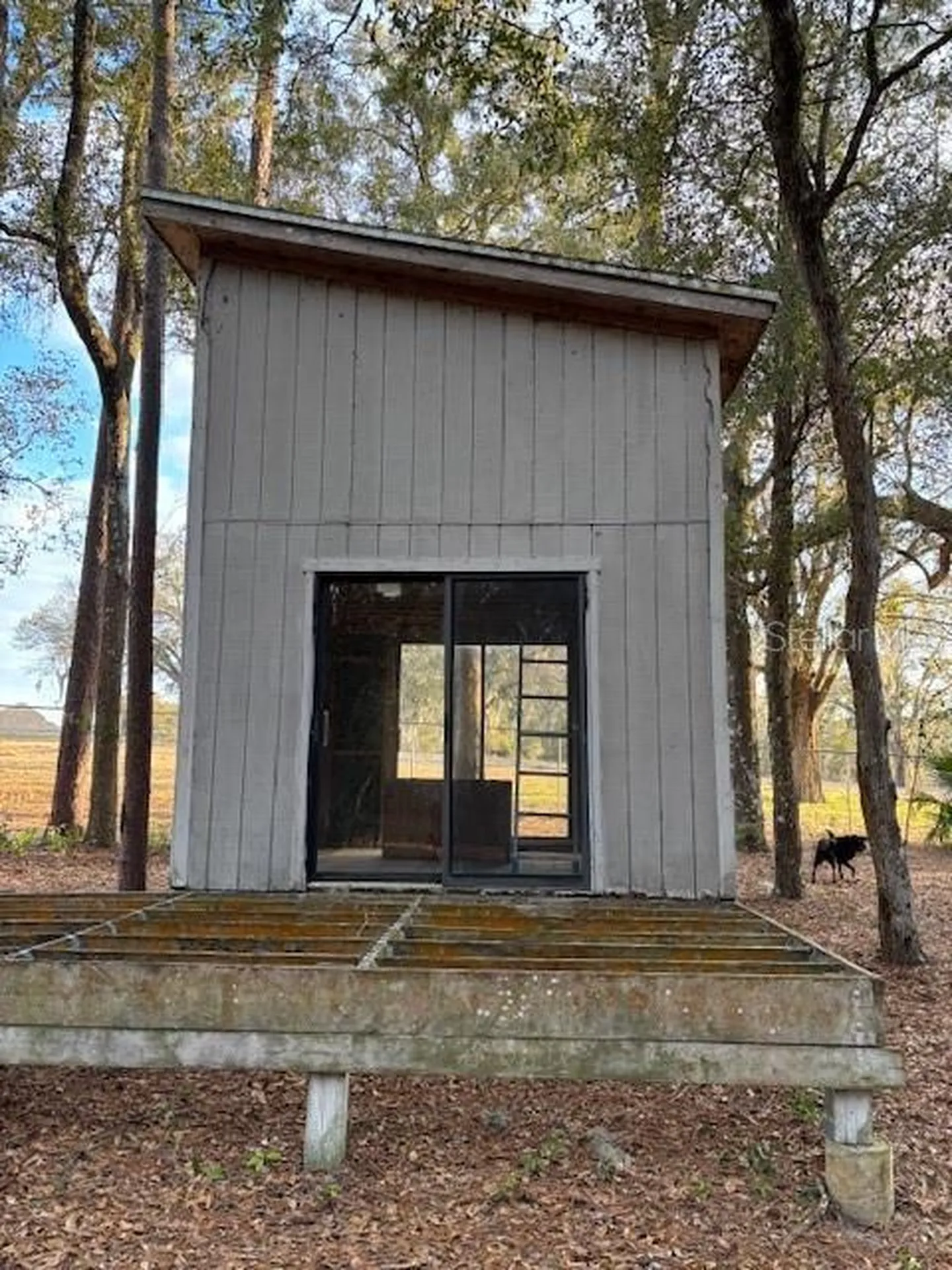 23404 Hobdy Road Sorrento FL 32776