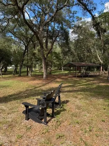 23404 Hobdy Road Sorrento FL 32776