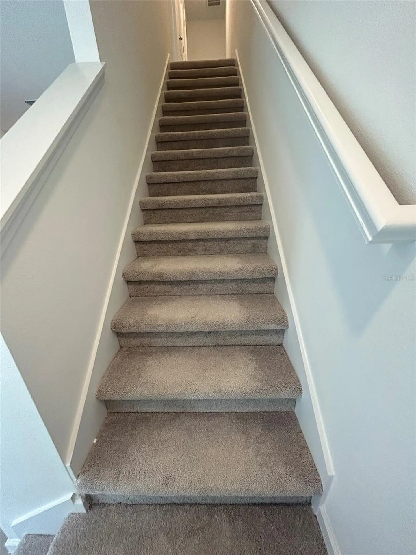 3409 SW 34th Avenue Circle Ocala FL 34474