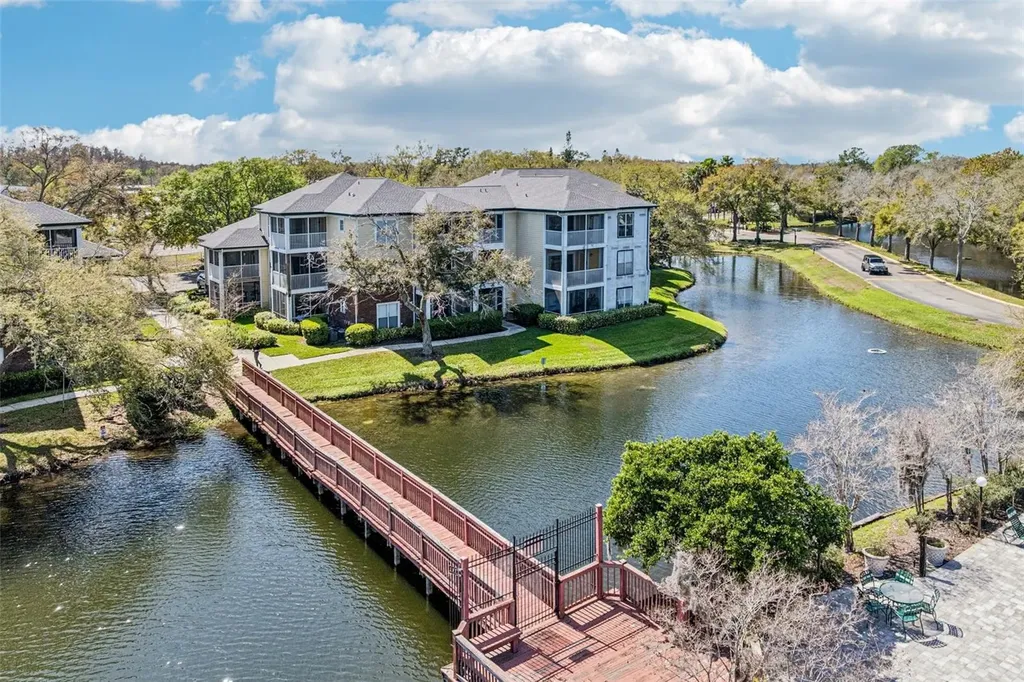 4211 Chatham Oak Court Tampa FL 33624