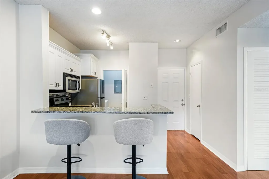 4211 Chatham Oak Court Tampa FL 33624