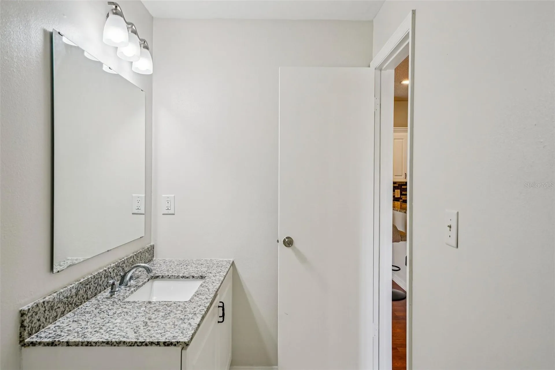 4211 Chatham Oak Court Tampa FL 33624