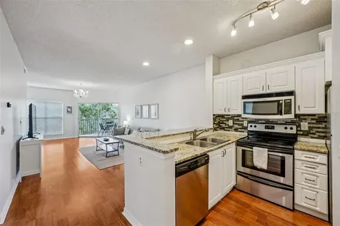 4211 Chatham Oak Court Tampa FL 33624
