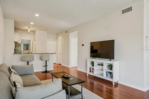 4211 Chatham Oak Court Tampa FL 33624