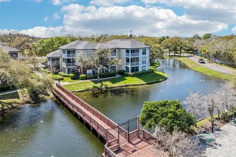 4211 Chatham Oak Court Tampa FL 33624