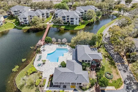 4211 Chatham Oak Court Tampa FL 33624