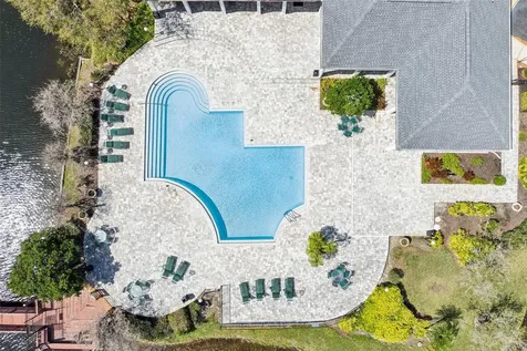 4211 Chatham Oak Court Tampa FL 33624