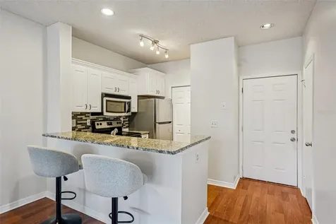 4211 Chatham Oak Court Tampa FL 33624
