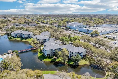 4211 Chatham Oak Court Tampa FL 33624