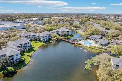 4211 Chatham Oak Court Tampa FL 33624