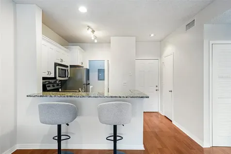 4211 Chatham Oak Court Tampa FL 33624