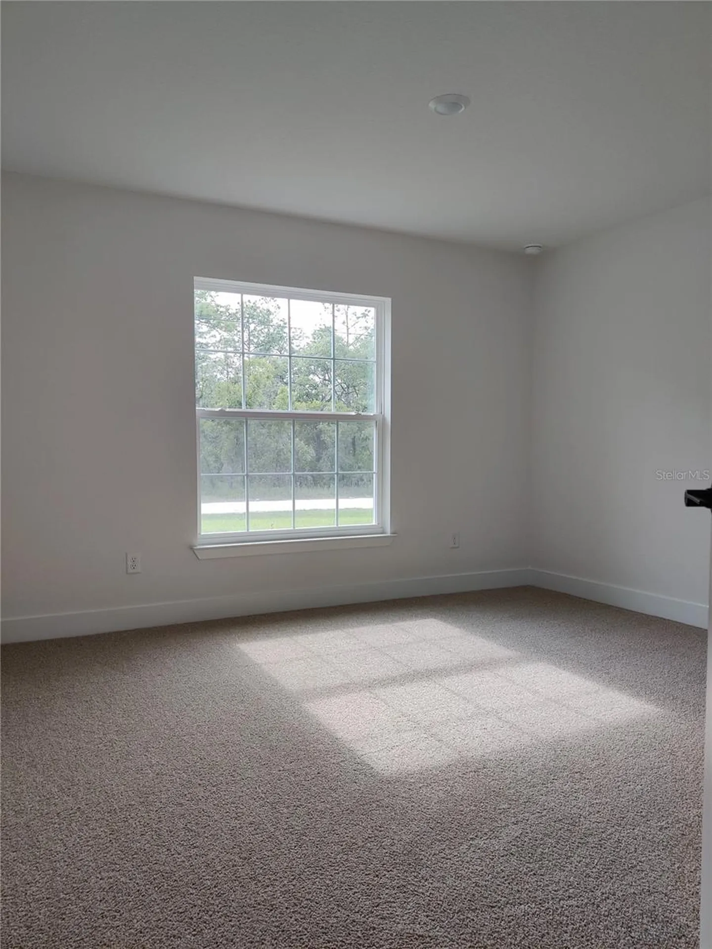 14606 Mocking Wren Road Weeki Wachee FL 34614