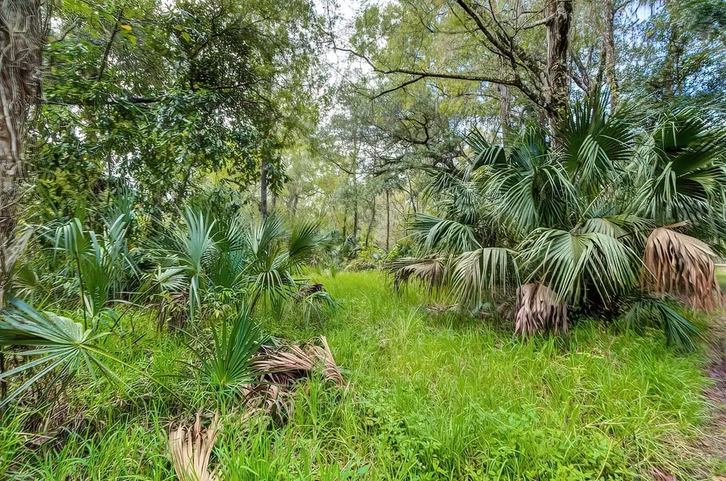 14902 Dead River Road Thonotosassa FL 33592
