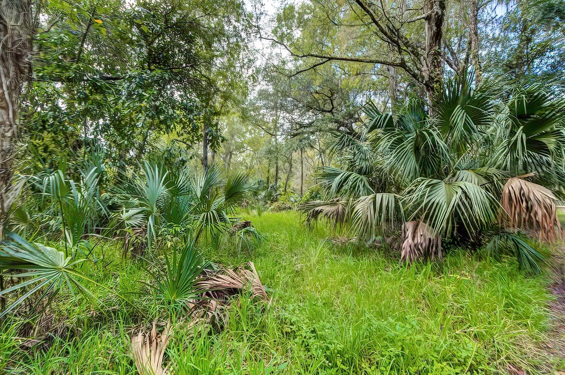14902 Dead River Road Thonotosassa FL 33592