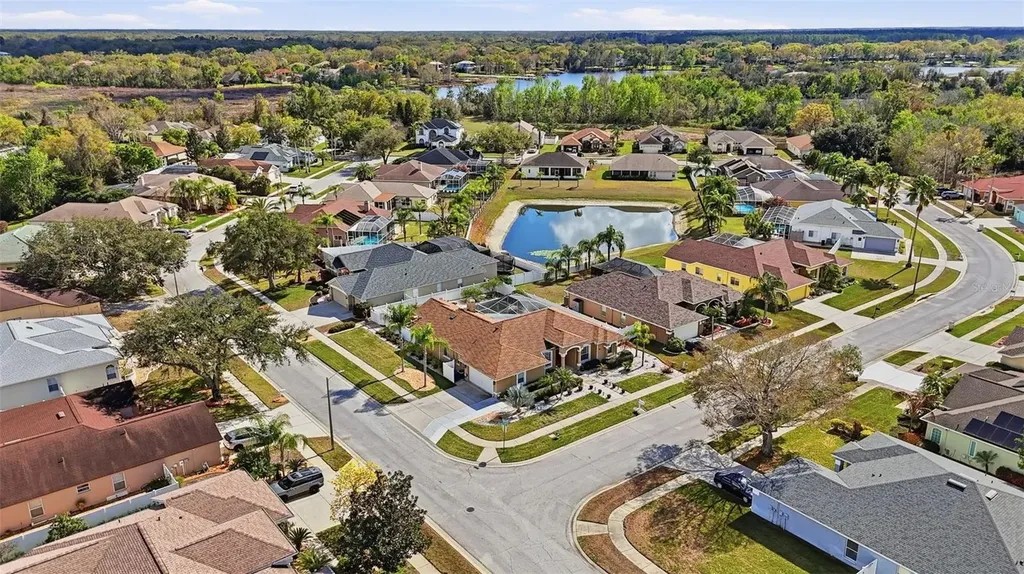 1436 Fox Chapel Drive Lutz FL 33549