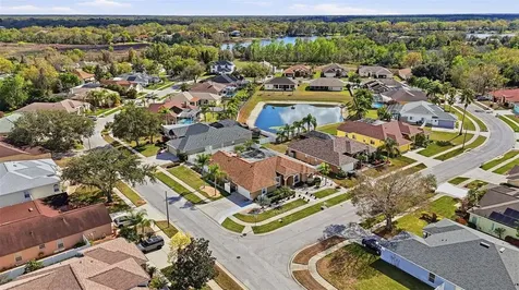 1436 Fox Chapel Drive Lutz FL 33549