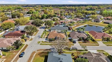 1436 Fox Chapel Drive Lutz FL 33549