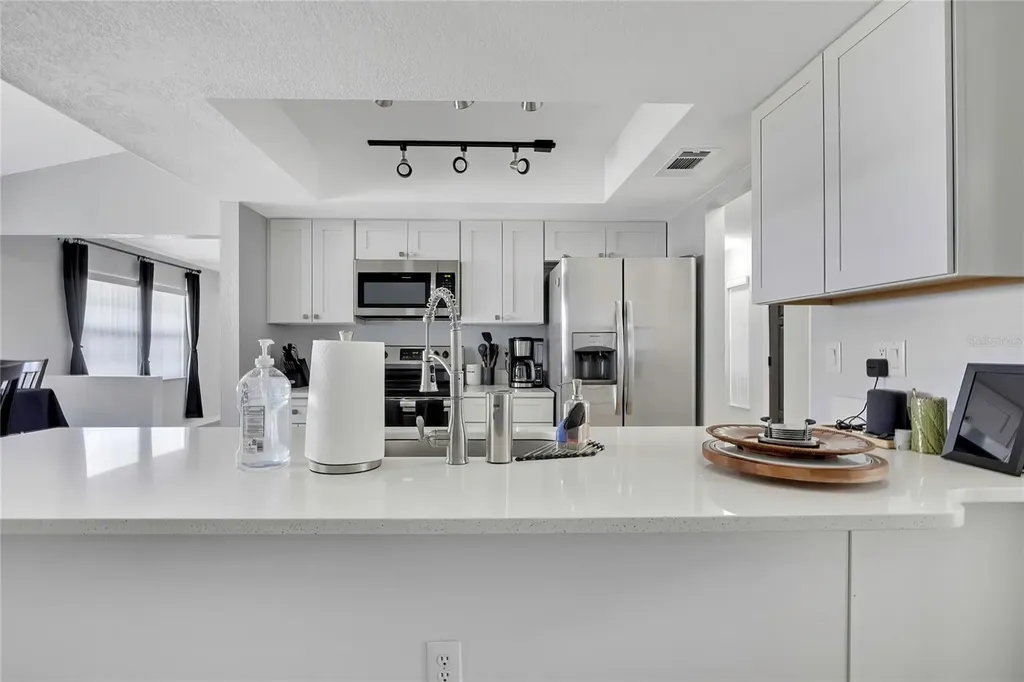 3743 Meridean Place Land O Lakes FL 34639