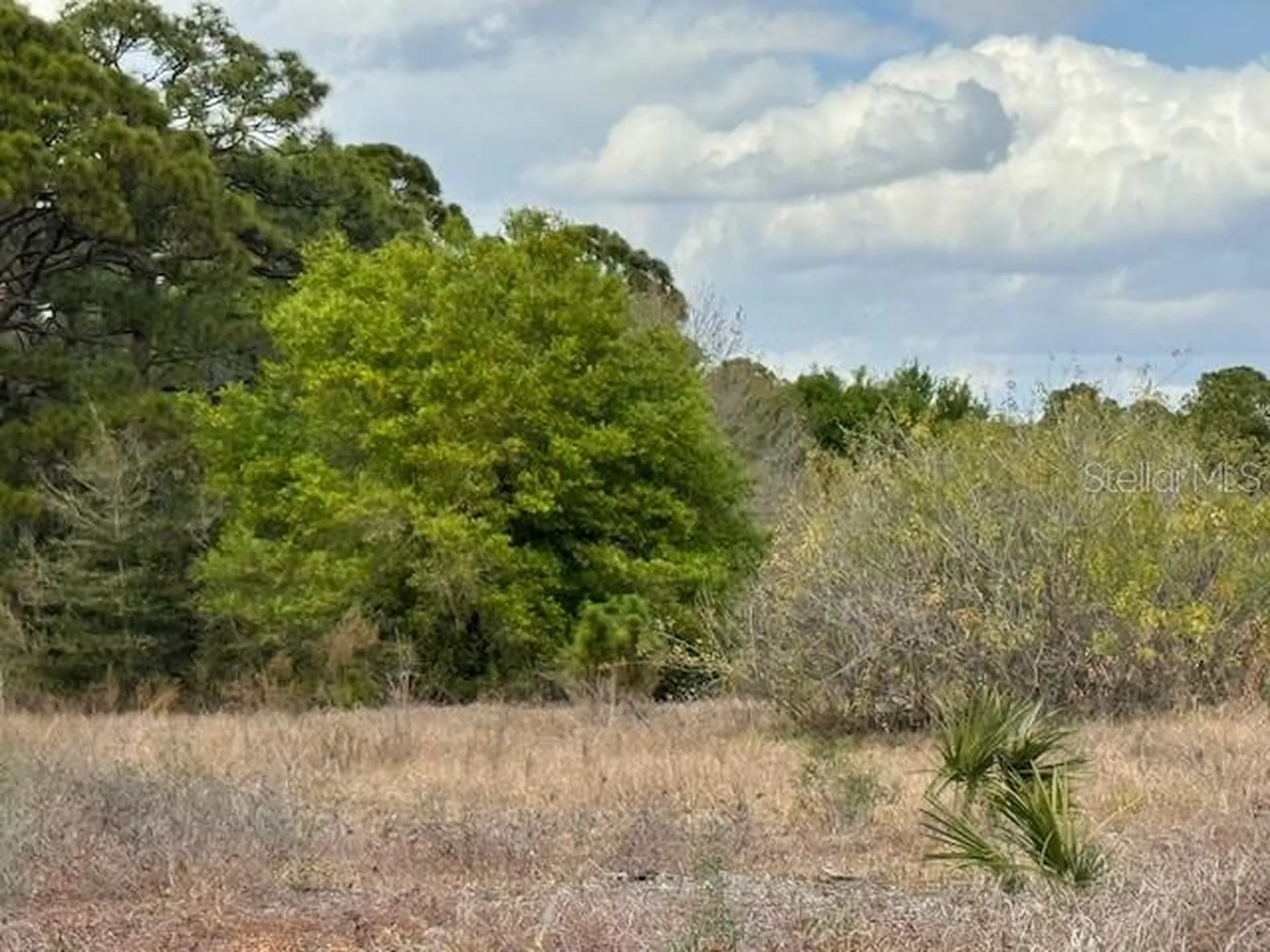 612 Twilight Drive Lot 31 Lake Placid FL 33852